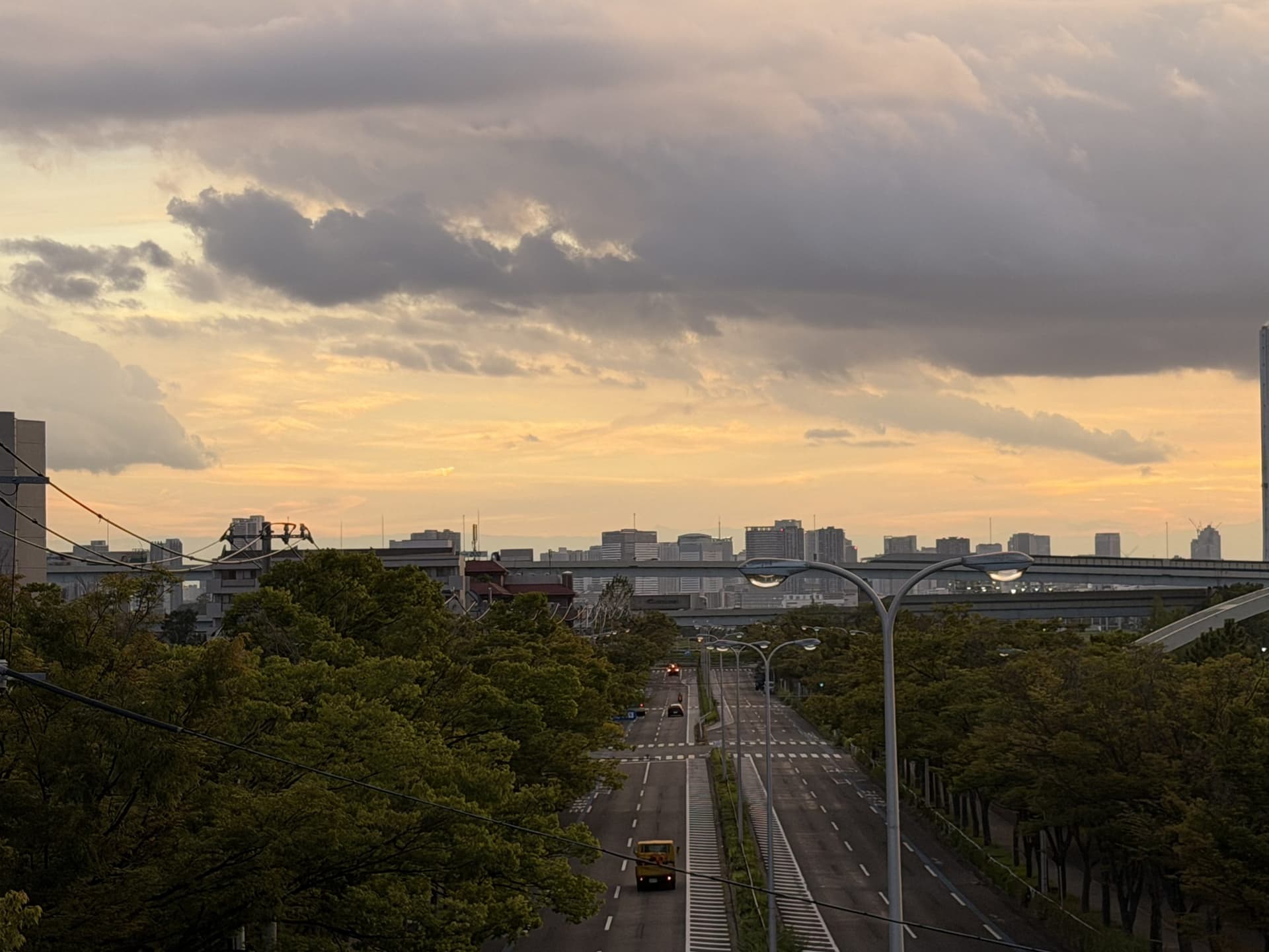 A tree-lined Tokyo avenue at golden hour